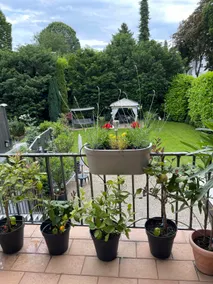 Entire apartment with terrace - Image 3