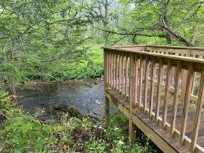 Back to Creek, Pool Table, Firepit & Grill - Image 3