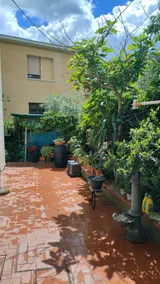 House with garden in the hills of Bagno a Ripoli - Image 5