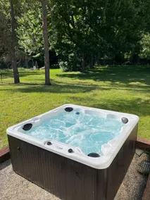 NEW LISTING—-UNION PIER PERFECTION—HOT TUB, FIRE PIT, WALK TO LAKE!! - Image 2