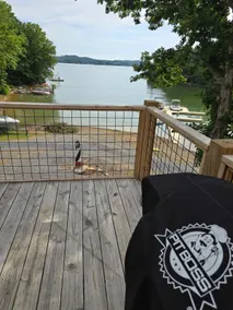 Nicer Days at Douglas lake - Image 3