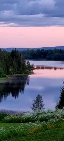 Cozy house with lake view - Image 2