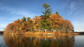 Private lake ”Island” near Boston - Image 5