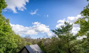 Norbury, woodland lodge with hot tub for 12 - Image 4