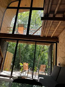 Cabin in the Jungle - Image 3