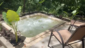 Cabin in the Jungle - Image 4