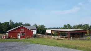 Galloping Getaway on Horse Farm - Image 4