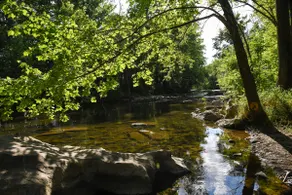 Farmhouse on the river! - Image 4