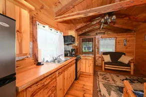 Black Bear- 1 bedroom w/fire ring - Image 5