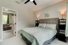 Friendly Neighbor Suite - Image 3