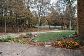 Cottage on the Lake - Image 3