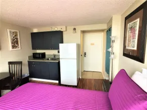 Designer Condo on 29th Fl. with Great View! Legal! - Image 5