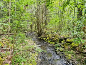 Mt Rainier, Paradise to stay! 4BR,2BA, Sleeps 10 - Image 4