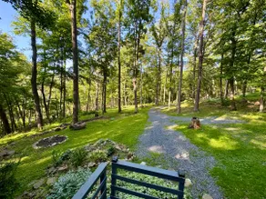 The Blue Cabin at Warden Lake - Image 3