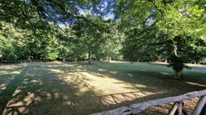 The homes of Papà Nuccio - Image 5