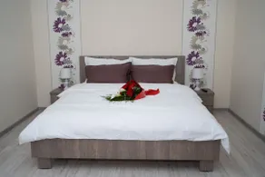 Arad Plaza Viktoria Aparatment - Image 3
