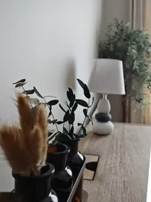 DR Apartment - Image 5