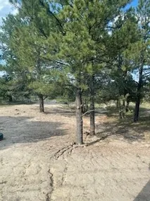 Sweet Little Private Sanctuary - Image 5