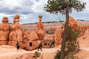 Glamping cabin #36 near Bryce Canyon - Image 3