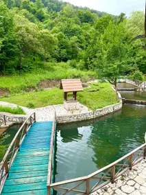 Dilijan in Forest - Image 5