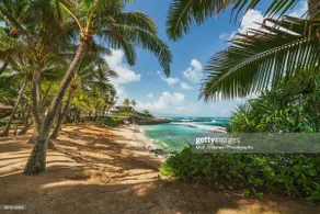 Maui Tropical House - Image 4