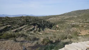 Mas Del Sanco - Image 4