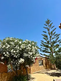 El Pomelo Rural House - Image 5