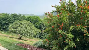 Podere Le Marie - Image 4