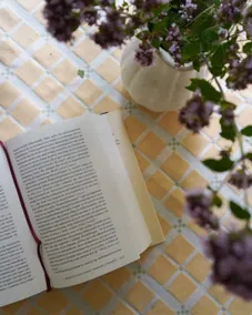 Cottage in a wonderful, peaceful garden - Image 3