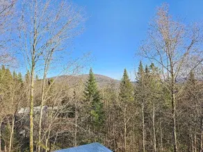 Loft and relaxation in nature - Image 2