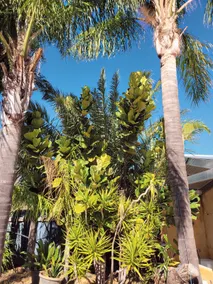 Oakford Country Oasis - Adult only Retreat. - Image 4