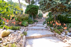 Cactus Finca • Enjoy Ocean Views & Tranquility - Image 5