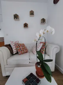 The Bohemian - Image 5