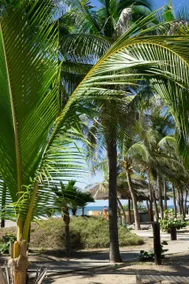 Beautiful beachfront cabin - Image 4