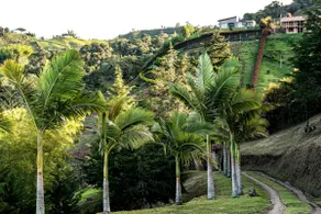 Beautiful view of the stone, reservoir and with a jacuzzi - Image 3