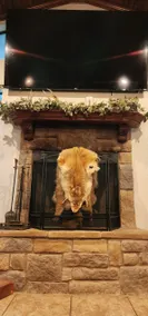 Rustic Retreat, home between 2 lakes. - Image 3