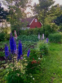 Ängaröds Gård - Image 4