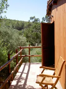 Casa Anita (Wild House) - Image 4