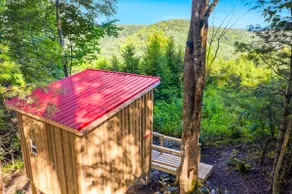 Blue Ridge Parkway / Cabin 1 - Image 5