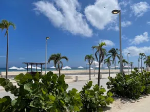 Casa Rey - Image 5