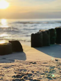 The Sea Forever - Image 4