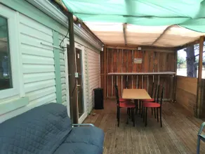 stay at the edge of the forest - Image 3
