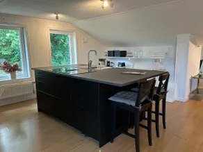 Spacious private attic - Image 5