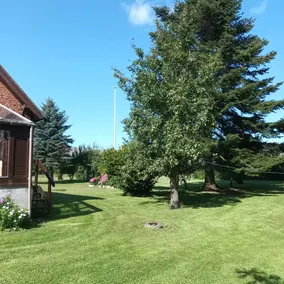 Mitlandidyl - Image 3