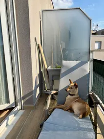 Duplex in Lille with a breathtaking view - Image 5