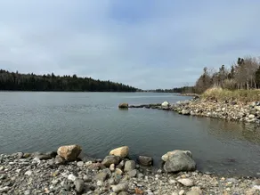 Oceanfront Downeast Retreat - Image 3