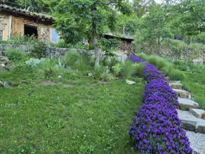 Roiffieux-Annonay Accommodation - Image 5