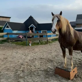 Bed and Breathe in Almere Oosterwold - Image 2
