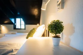 Cozy Nook - Double Room + Sofa Bed - Image 3