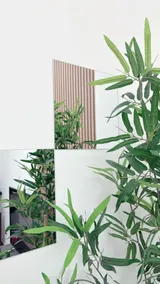Mini Apartment in the center - Image 2
